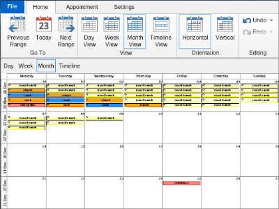 NO V schedule monthly view 3